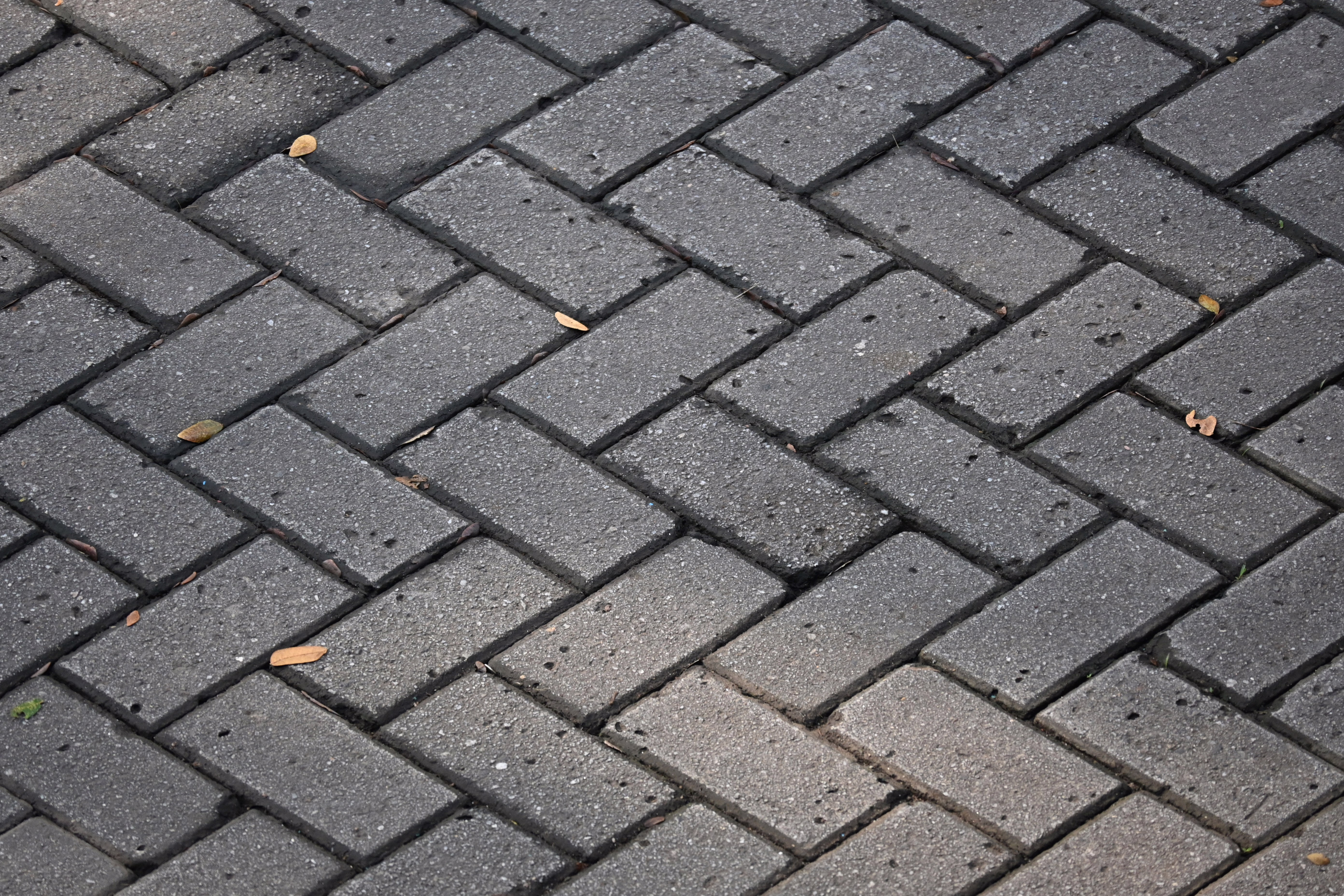 Paving Services